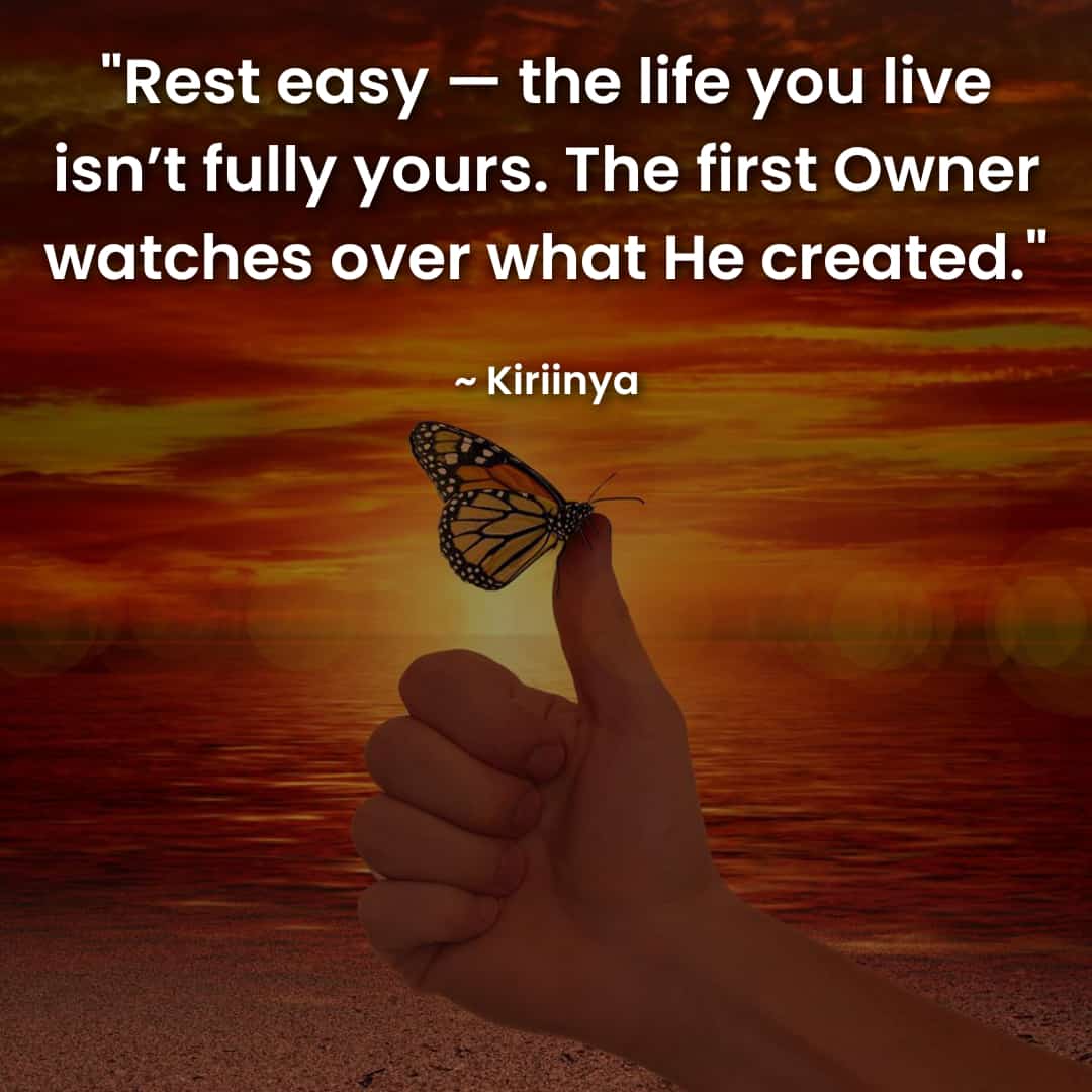 whatsapp image 2025 11 06 at 4.23.22 pm